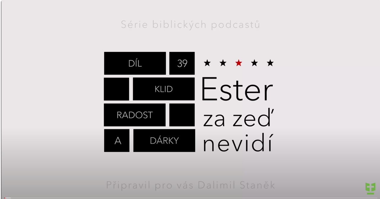 Snímek obrazovky 2024-06-10 211234.png