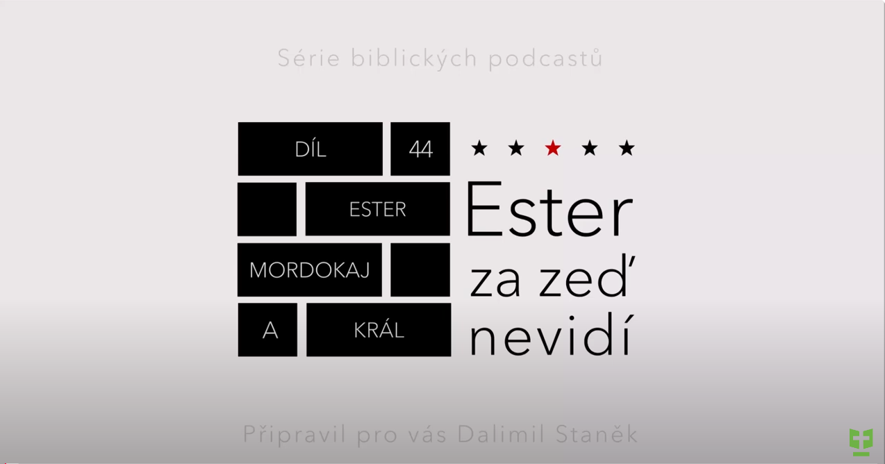 Snímek obrazovky 2024-07-15 104138.png