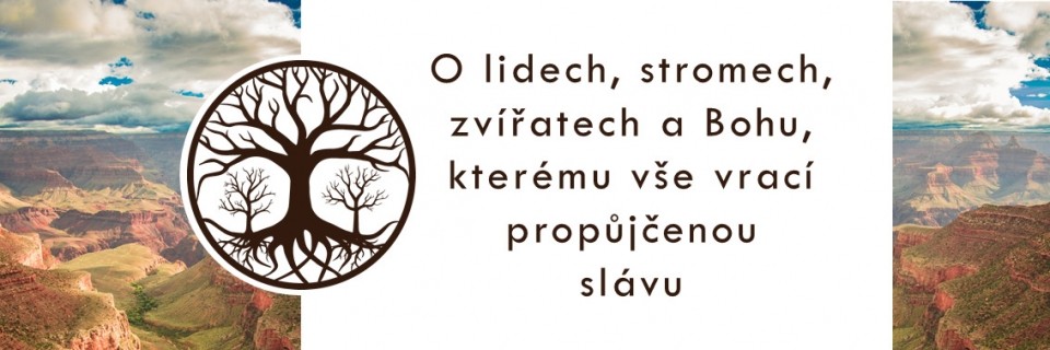 povídky (1) (1)