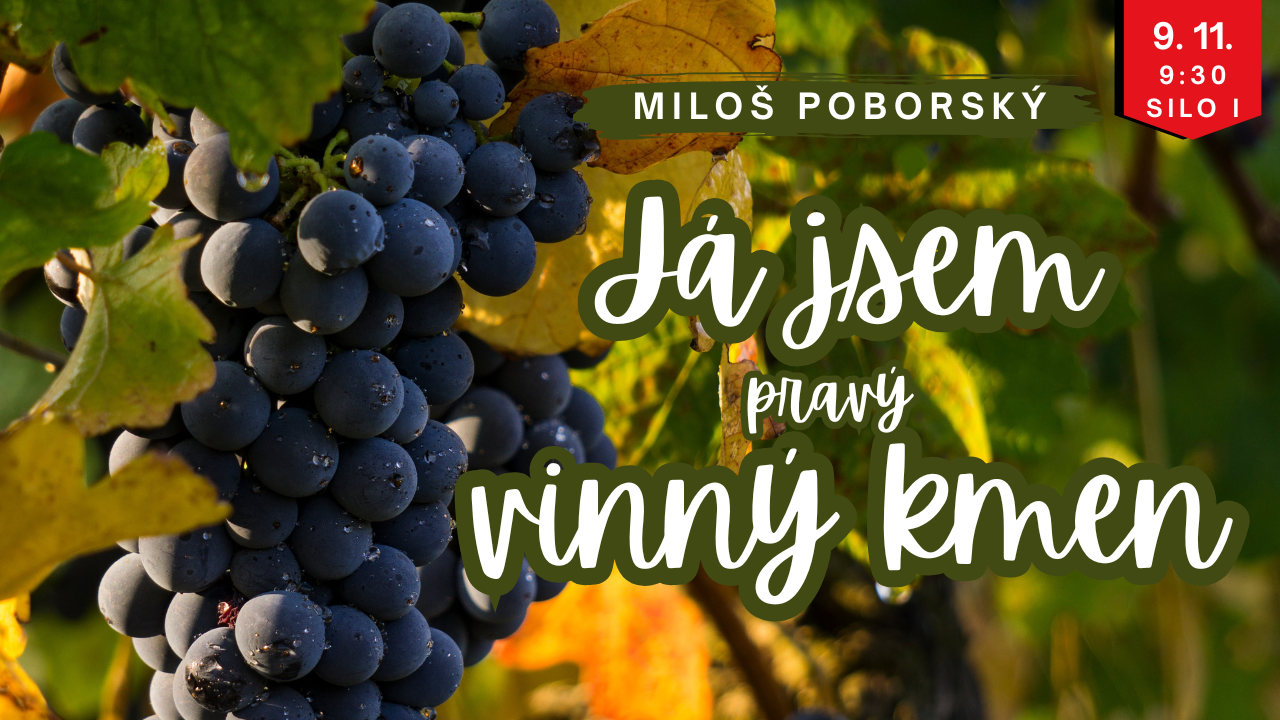 já jsem pravý vinný kmen.png