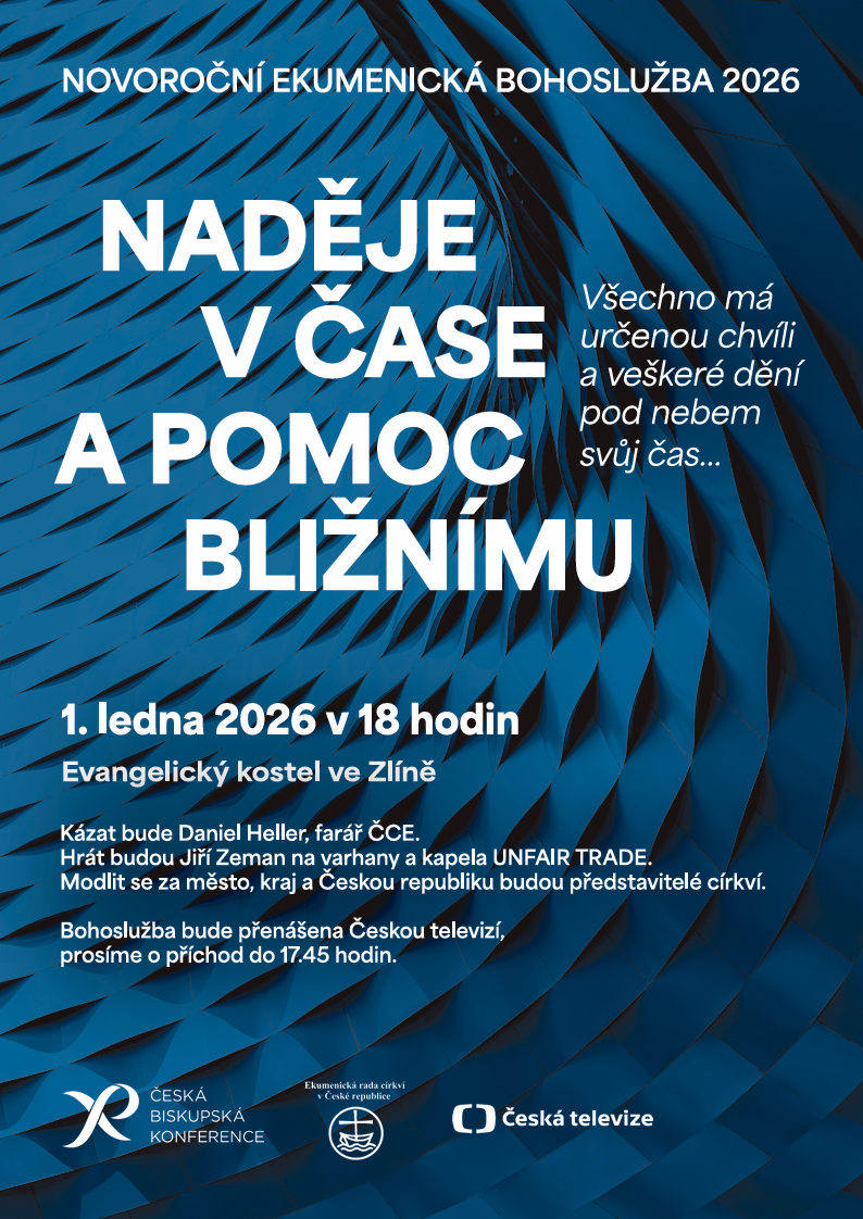 Snímek obrazovky 2025-12-25 100609