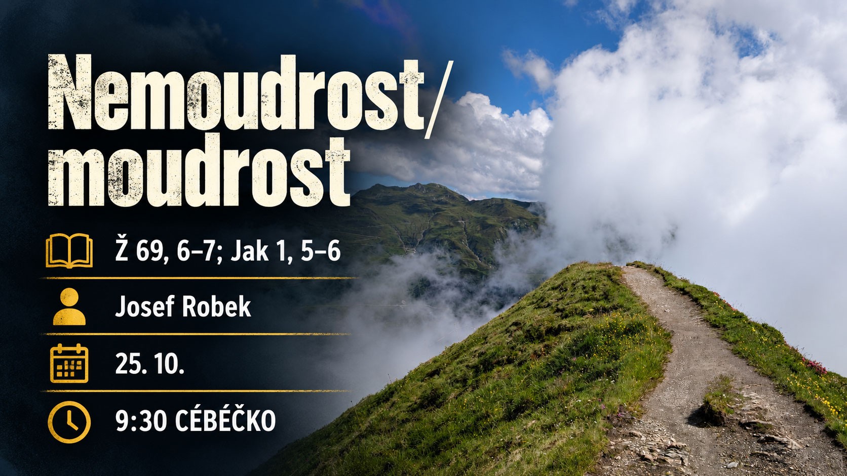 Robek-10.jpg