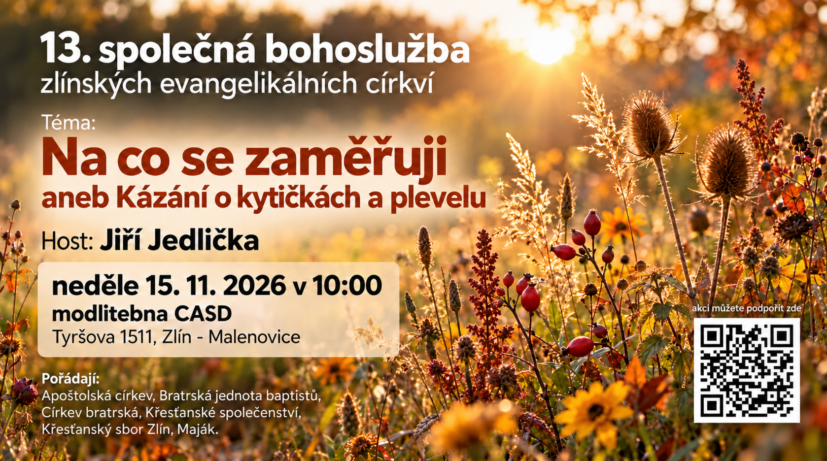 Na co se zaměřuji aneb kázání o kytičkách a plevelu